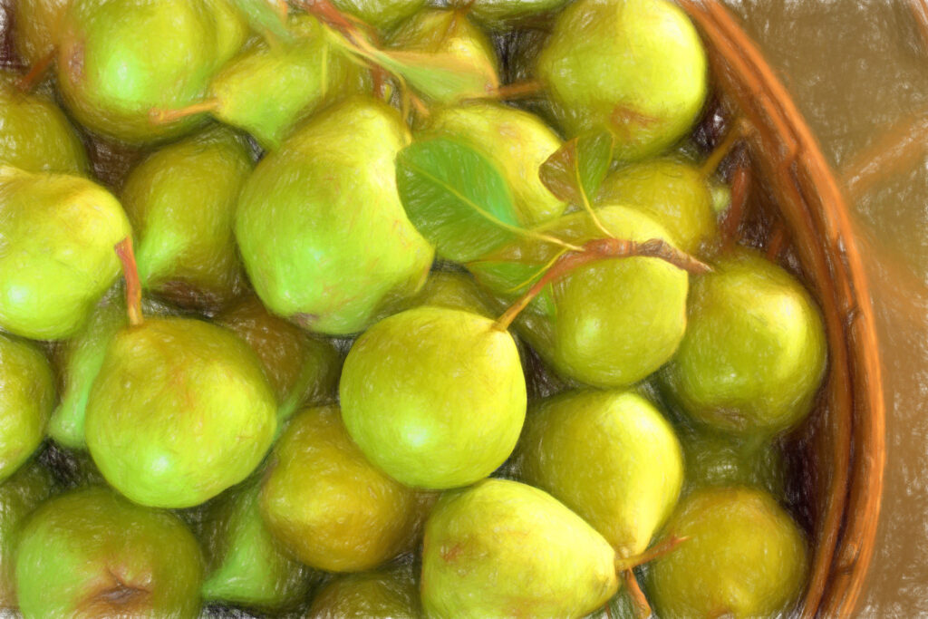 pears in basket